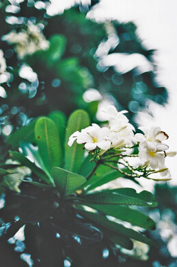 joinery|ジョイナリー